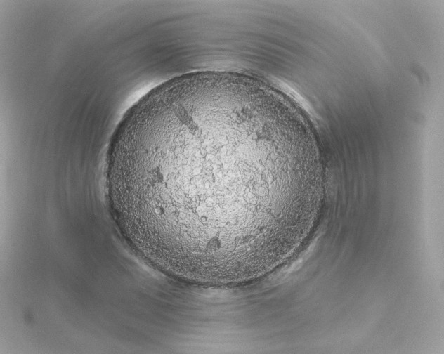 X0000115691071200911251808