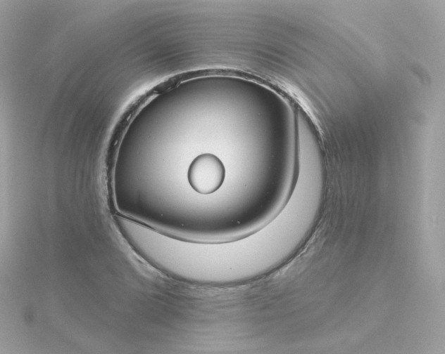 X0000115691072200911251808