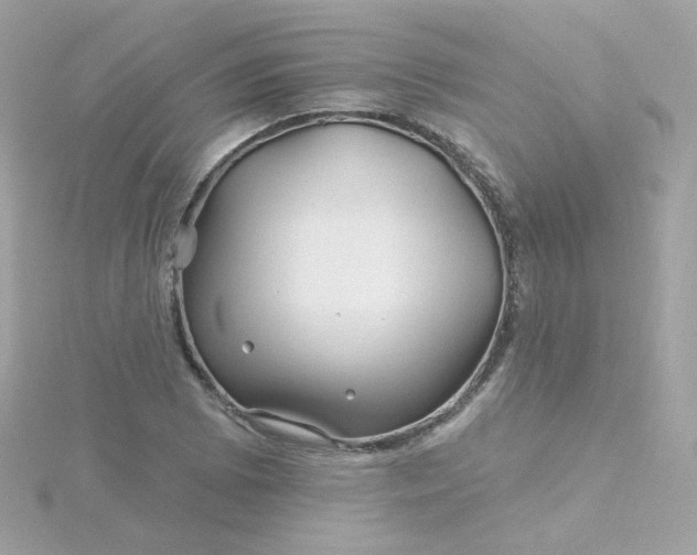 X0000115691073200911251808