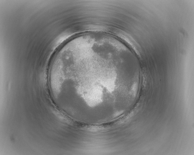 X0000115691074200911251808