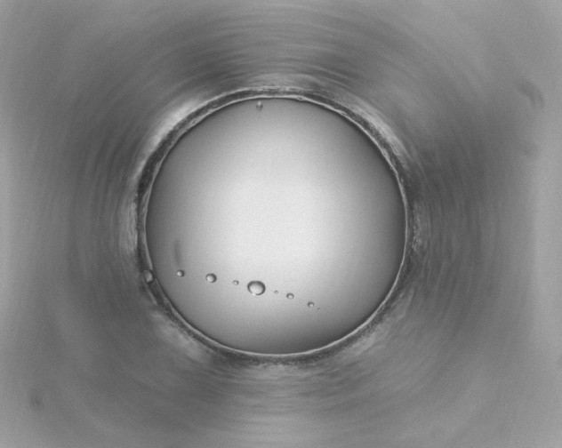 X0000115691075200911251808