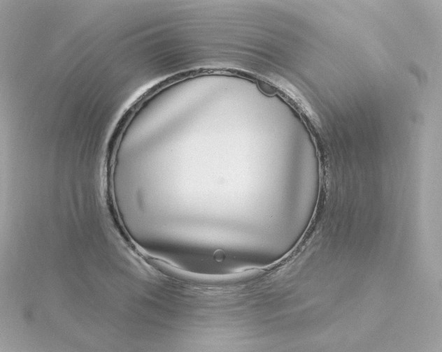 X0000115691076200911251808