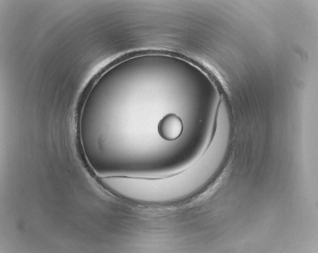 X0000115691077200911251808