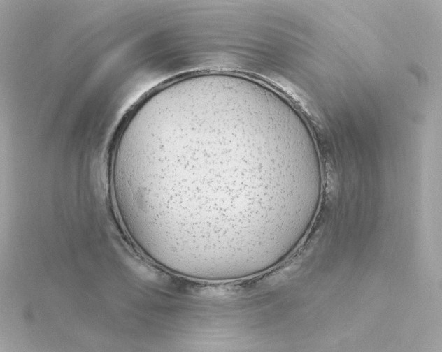 X0000115691078200911251808