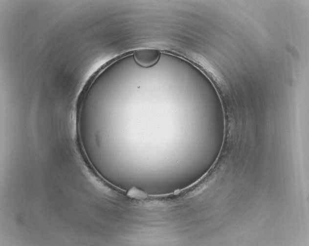 X0000115691079200911251808