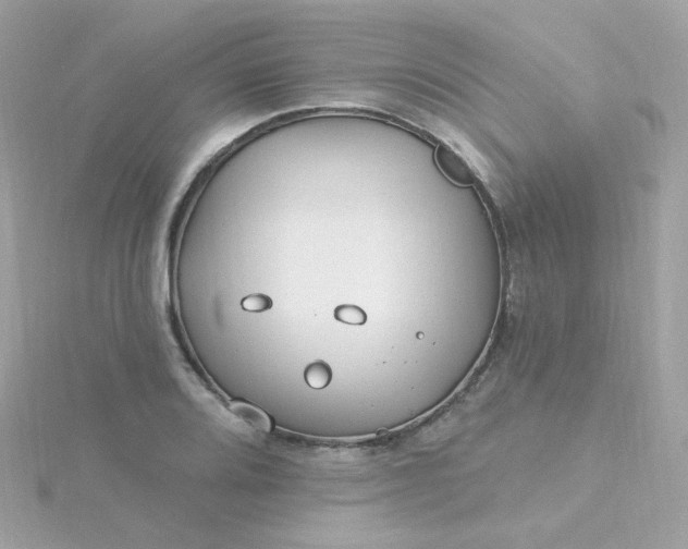 X0000115691080200911251808