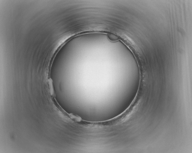 X0000115691081200911251808