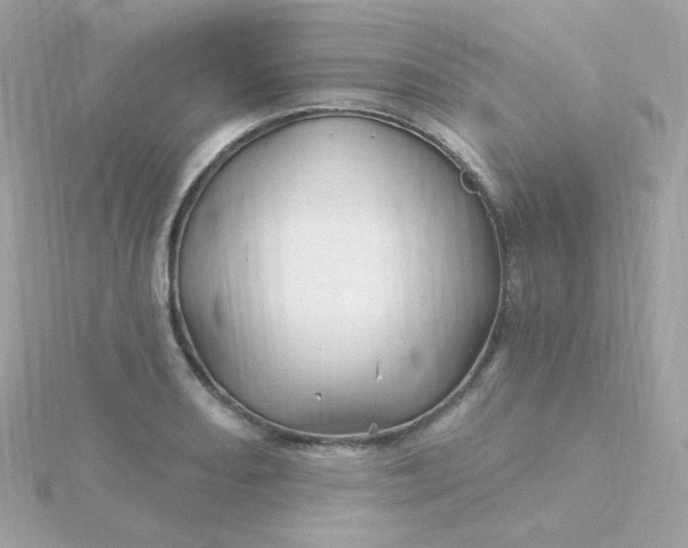 X0000115691082200911251808