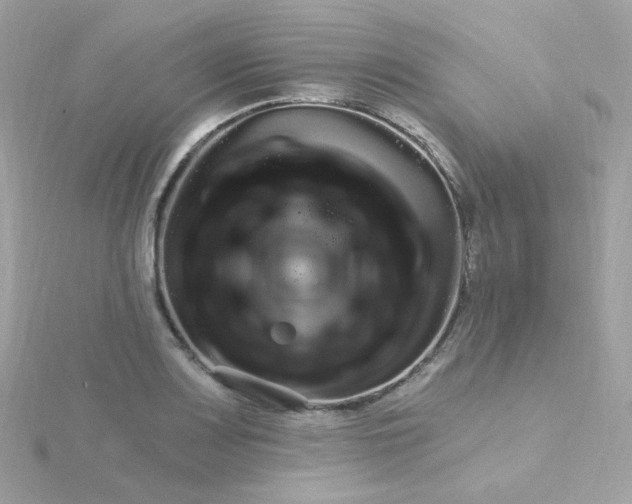 X0000115691083200911251808