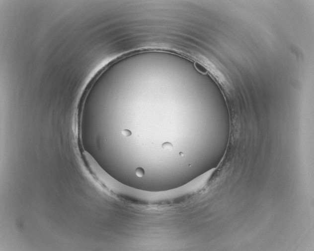 X0000115691084200911251808