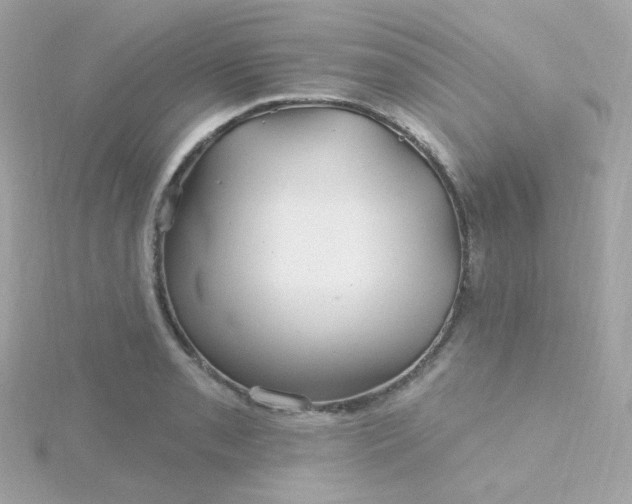 X0000115691085200911251808