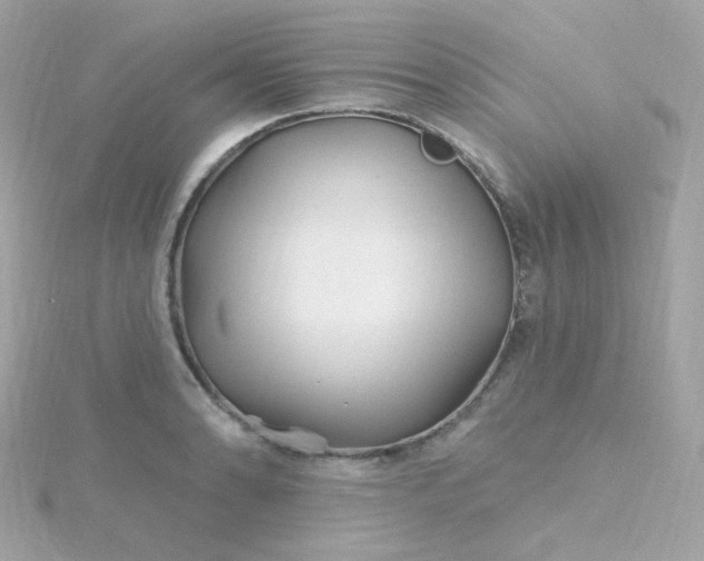 X0000115691086200911251808