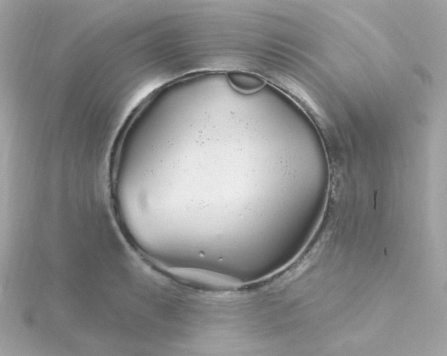 X0000115691087200911251808