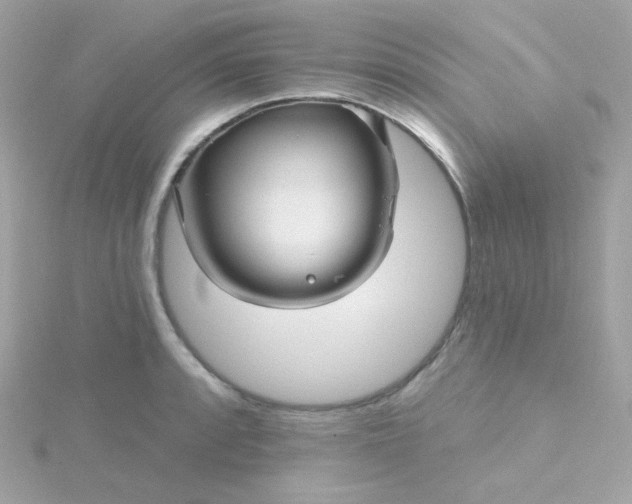 X0000115691088200911251808