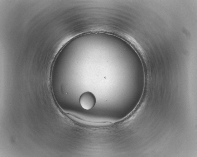 X0000115691089200911251808