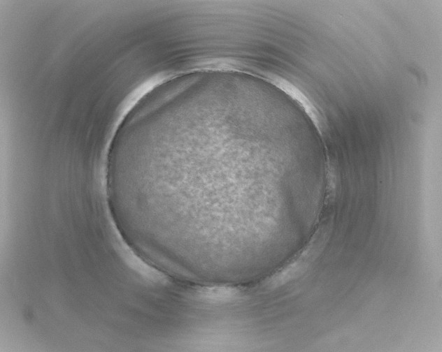 X0000115691090200911251808