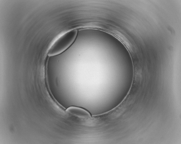 X0000115691092200911251808