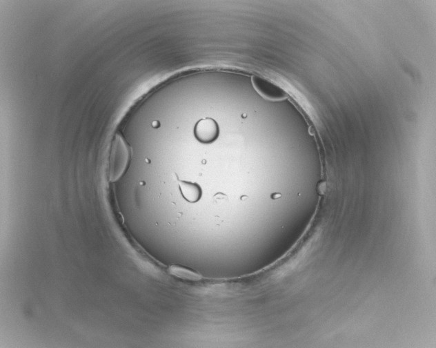 X0000115691093200911251808