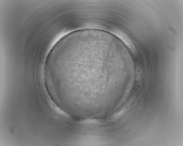 X0000115691094200911251808