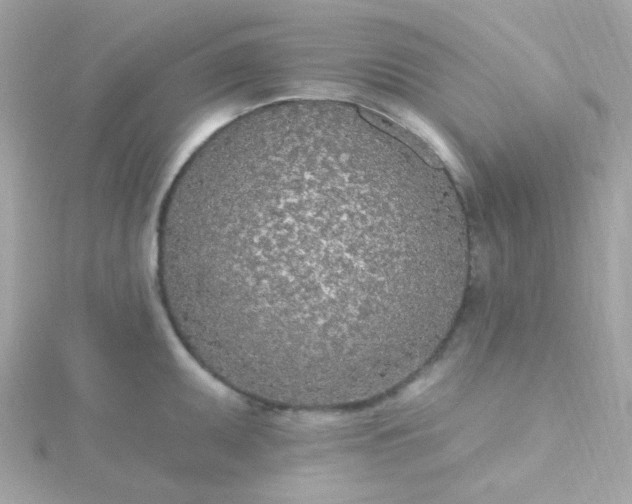 X0000115691095200911251808