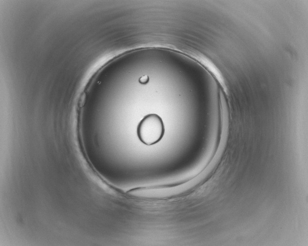 X0000115691096200911251808