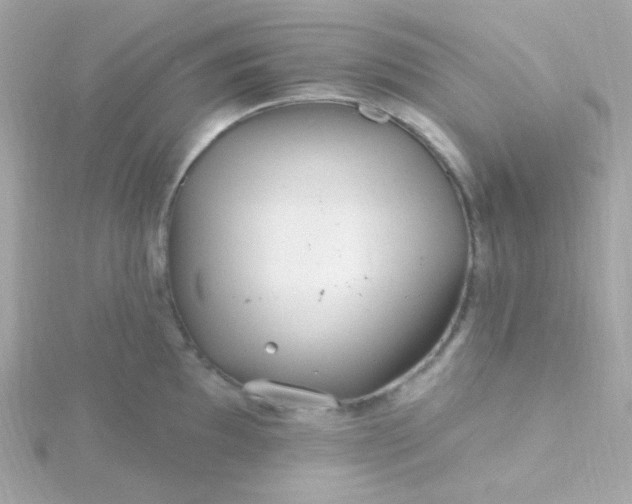 X0000115691097200911251808