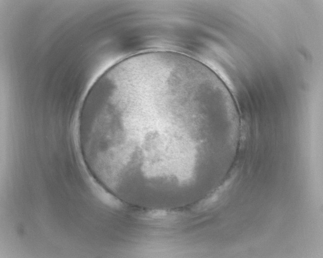 X0000115691098200911251808