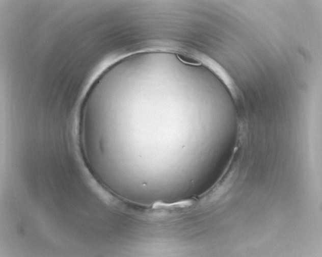 X0000115691099200911251808