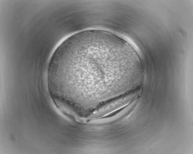 X0000115691100200911251808