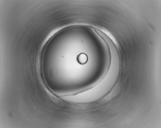 X0000115691101200911251808