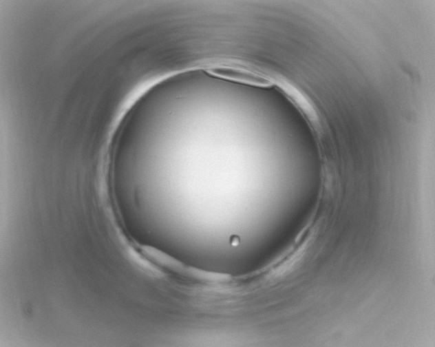 X0000115691102200911251808