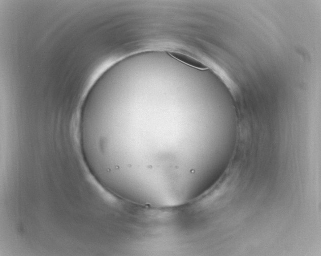 X0000115691103200911251808