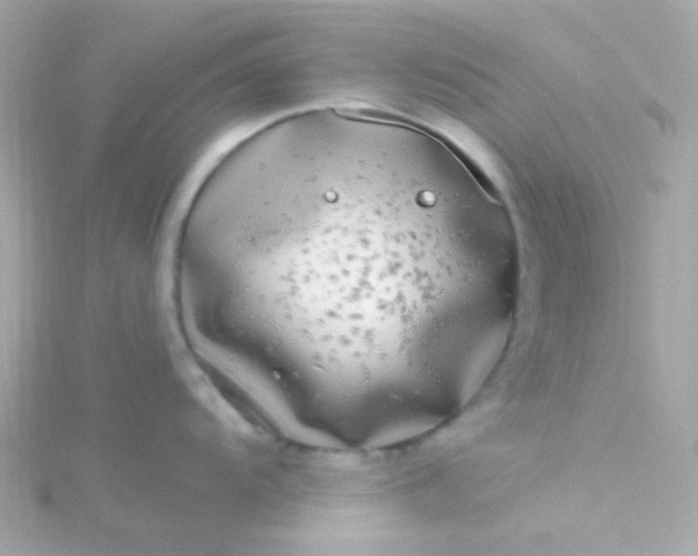 X0000115691104200911251808