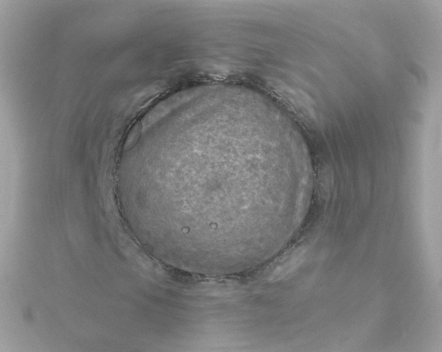 X0000115691105200911251807