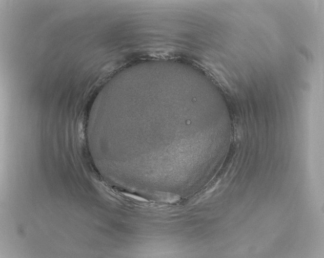 X0000115691106200911251807