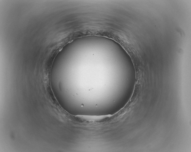 X0000115691109200911251807