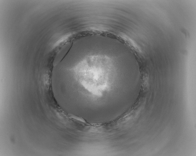 X0000115691110200911251807