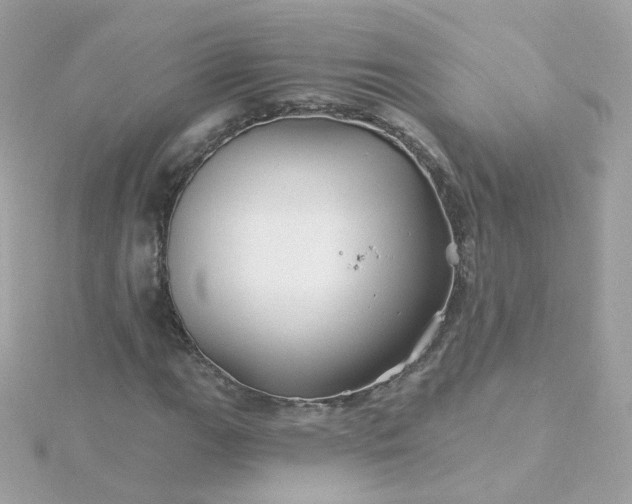 X0000115691111200911251807