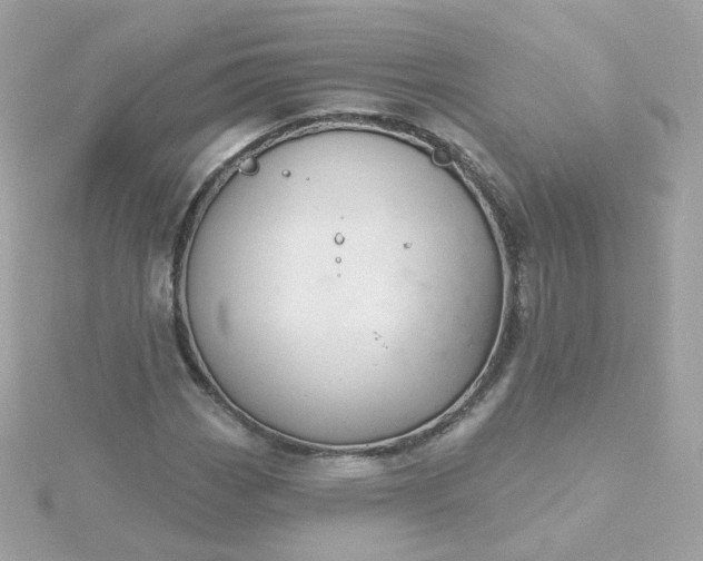 X0000115691113200911251807