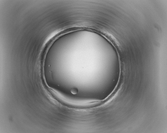 X0000115691114200911251807