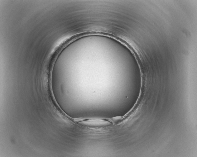 X0000115691115200911251807