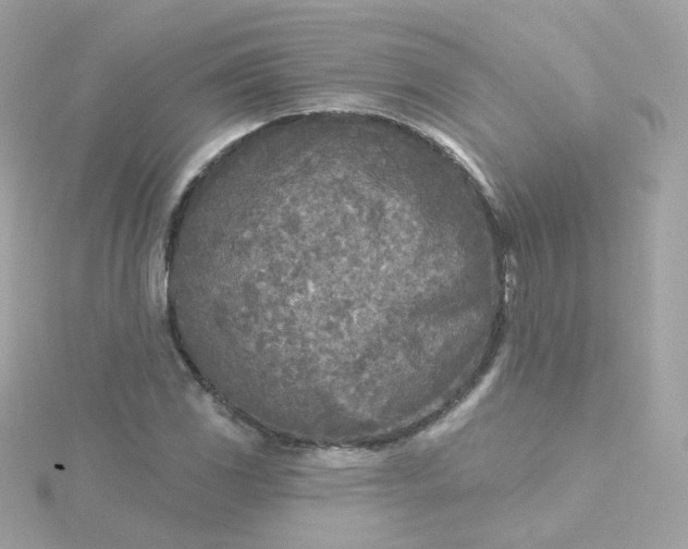 X0000115691117200911251807