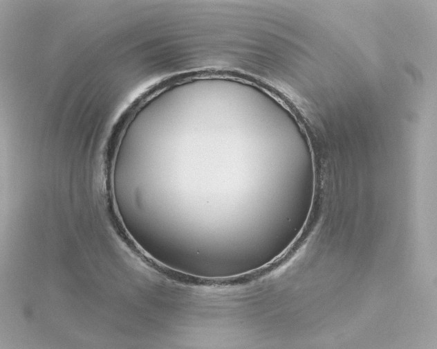 X0000115691118200911251807