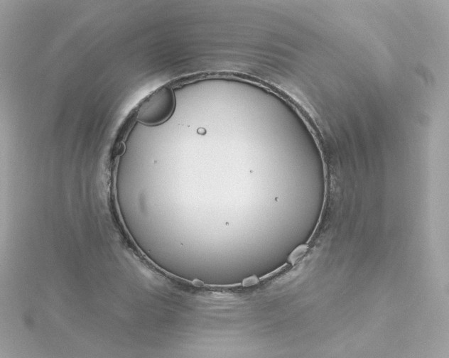 X0000115691119200911251807