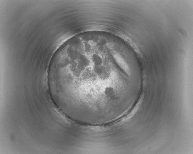 X0000115691121200911251807