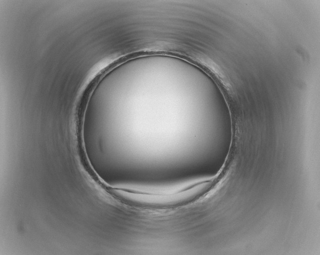 X0000115691122200911251807