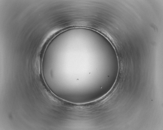 X0000115691123200911251807