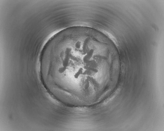 X0000115691125200911251807