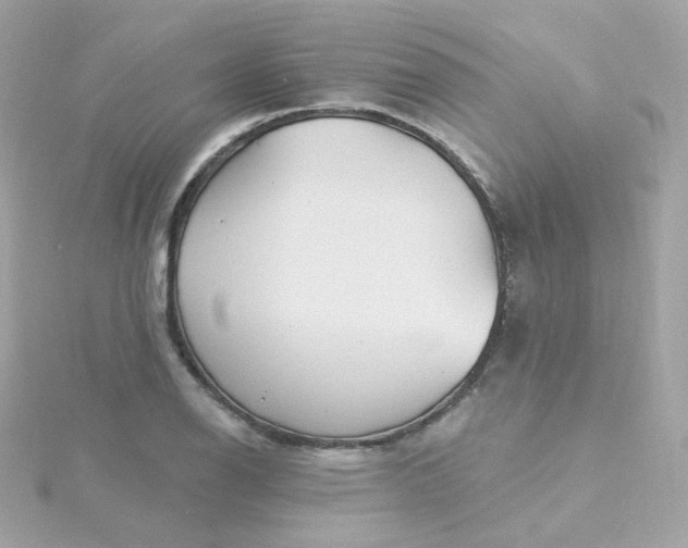 X0000115691126200911251807