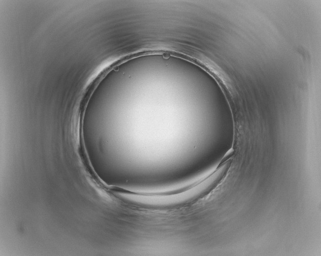 X0000115691127200911251807